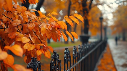 Poster - Autumn foliage in Catherine park Pushkin Saint Petersburg Russia : Generative AI