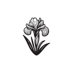 Wall Mural - Isolated Iris Flower - Detailed Botanical Sketch in Vector Format.