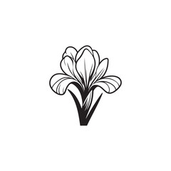 Detailed Iris Flower Drawing - Vector Botanical Art on White Background.