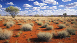 A vast Australian Outback landscape with iconic desert flora, including spiky shrubs and dry grasses scattered across the red soil 