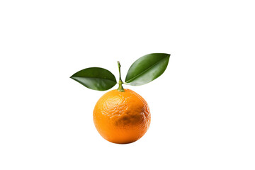 Yummy orange on transparent background