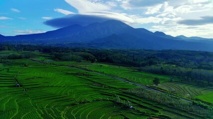 Wall Mural - Beautiful morning view indonesia. Panorama Landscape paddy fields with beauty color and sky natural light