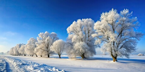 Wall Mural - winter nature landscape with snow covered trees against clear blue sky