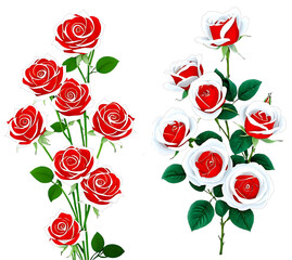 set of red roses isolated on white background