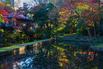 日本の風景・秋　東京都文京区　紅葉の小石川後楽園