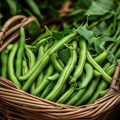 Wall Mural - A close-up of green beans (Phaseolus vulgaris) in a basket, freshly picked and ready for sale