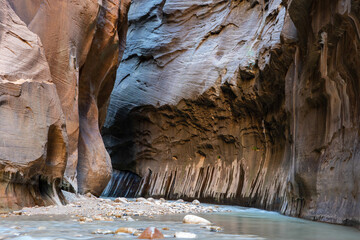 Landscape in Zion national park