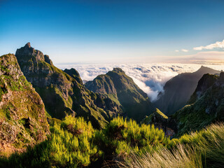 Wall Mural - panorama of the mountains