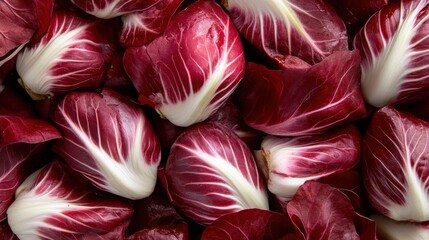 Wall Mural - A display of freshly harvested radicchio (Cichorium intybus), with its deep red leaves adding color to the market --ar 16:9 --personalize jaydbm9 --v 6.1 Job ID: ca6d3dea-cccf-4605-a893-fd1d2eb9a18b