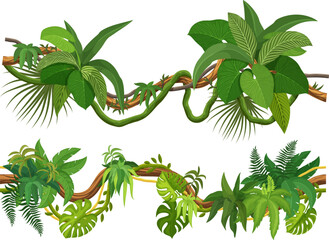 Wall Mural - tropical jungle forest liana vines and branches of ivy leaves, cartoon vector. tropical rainforest m