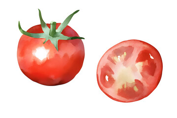 Poster - Watercolor hand drawn juicy tomato isolated on white background