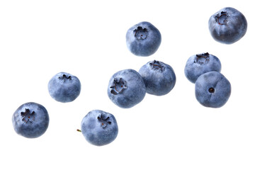 Wall Mural - blueberries isolated on white background. clipping path