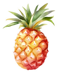 Wall Mural - Hand drawn watercolor pineapple isolated on white background