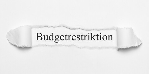 Wall Mural - Budgetrestriktion	