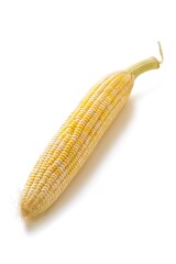 Wall Mural - Fresh ear of corn on a white surface, ready for use or decoration