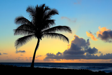 Wall Mural - A serene beach scene at sunset with a silhouetted palm tree against a colorful sky.