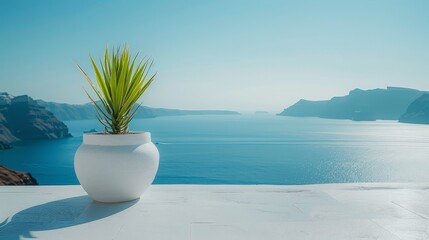 Wall Mural - Minimal White Terrace Overlooking Santorini with Sea View and Plant Pot