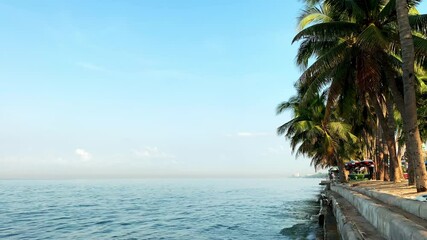 Wall Mural - palm trees on the beach