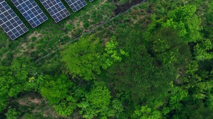 Poster - 森林に設置されたメガソーラー太陽光発電所　空撮