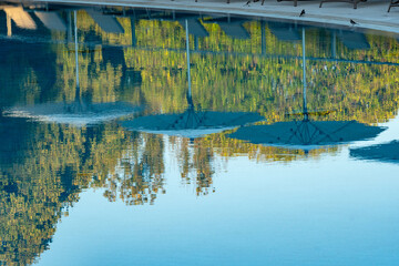 Parasols reflected in the water of the swimming pool. Some seagulls sit on the edge of the pool