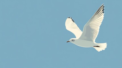  White seagull flying in a blue sky.