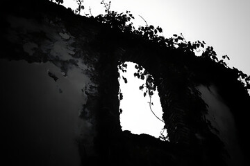 Wall Mural - A silhouette of a ruined wall with vines, creating a haunting atmosphere.