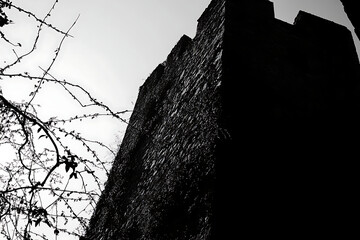 A silhouette of a stone tower against a cloudy sky, surrounded by bare branches.