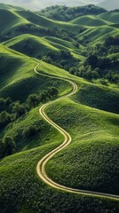 Canvas Print - A winding dirt path traverses lush green hills, showcasing serene natural beauty under soft sunlight