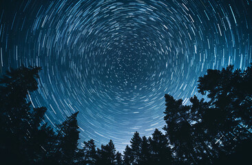 Poster - A mesmerizing star trail photograph showcasing swirling stars above a dark forest silhouette, creating a beautiful celestial pattern against a deep blue sky.