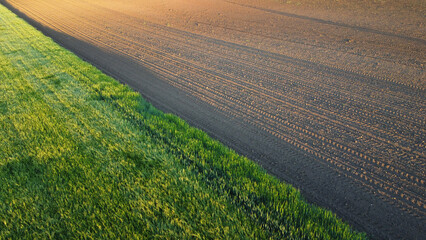 Wall Mural - agricultural fields in spring, in Vojvodina, seen from the drone