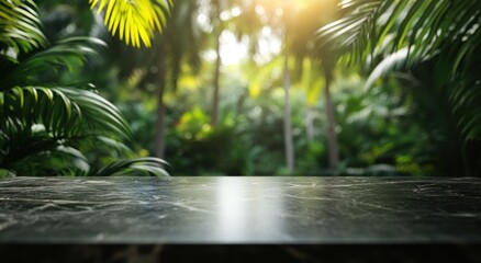 Canvas Print - A serene view of a jungle with a dark tabletop, ideal for product displays or presentations.