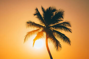 Wall Mural - A silhouette of a palm tree against a vibrant sunset background.