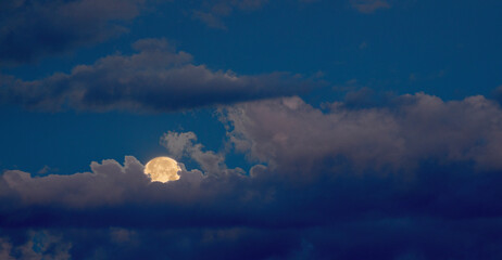 Wall Mural - full moon rising from the clouds