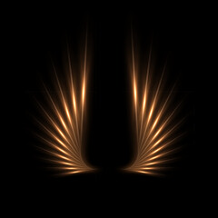 Wall Mural - Golden light wings with glowing on black background. Abstract gold light glowing wings with neon effect. Futuristic shiny vector illustration.