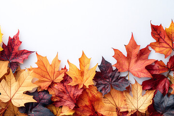 Wall Mural - Orange fall leaves in park, autumn natural background, Autumn Landscape - Trees And Orange Foliage In Park