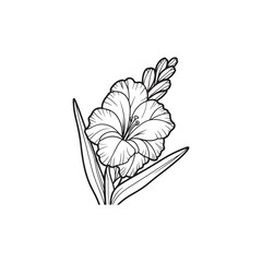 Wall Mural - Isolated Gladiolus Flower and Leaves - Vector Illustration in Black Outline.