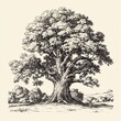 © Halina Berah - Ancient oak tree with a dense canopy and a vast root system sketch engraving generative AI fictional character illustration. Scratch board imitation.