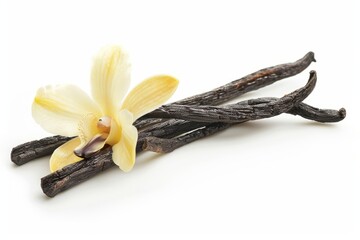 A fresh Vanilla bean and Vanilla bean Power isolated on white