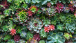 © Natalia Klenova - Vibrant succulent arrangement in vertical garden design