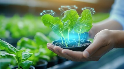 Canvas Print - Crops growing vigorously in a futuristic greenhouse, supported by AI-controlled smart fertilizers