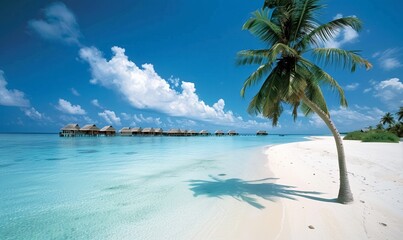 Tranquil beach with palm tree and overwater bungalows under a clear blue sky by the ocean, sandy shore with calm turquoise waters stretching to the horizon