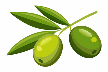 Wall Mural - Illustration of olives on branch with leaves isolated on a white