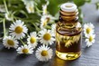 © Sanchai - A bottle of chamomile essential oil, surrounded by fresh chamomile flowers, ready to be used for relaxation and aromatherapy