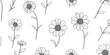 © PONG PUN TH - Black and white seamless pattern with daisies