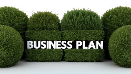 Wall Mural - business plan word shrubs trimmed on white background