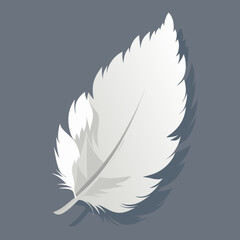 White fluffy feather with shadow vector realistic set isolated on transparent background. Feathers from wings of birds or angel, symbol of softness and purity, design element