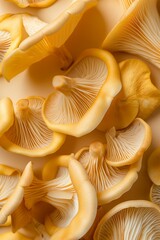 Sticker - Yellow chanterelles