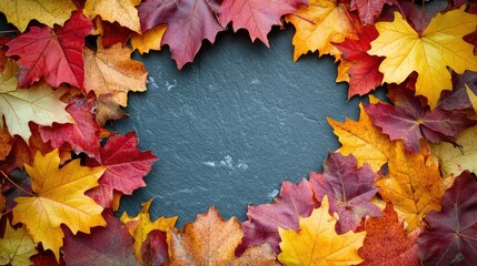 Wall Mural - Colorful fall leaves framing a solid background, creating a festive autumnal scene with ample room for copy