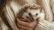 © AiiNa - A point-of-view shot of a hedgehog cuddling with its owner, with a happy style and plain background, highlighting the affectionate interaction and the cozy setting