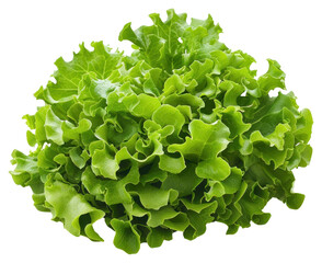 Sticker - PNG Fresh green lettuce leaves bunch